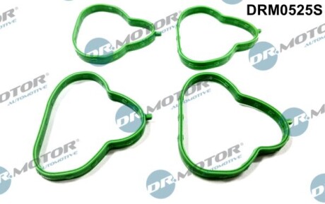 Комплект ущільнень, впускний колектор - DR.MOTOR DRM0525S