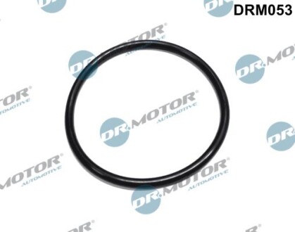Ущільнення, паливний фільтр - DR.MOTOR DRM053