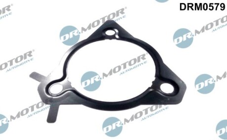 Ущільнення, паливний насос високого тиску - DR.MOTOR DRM0579