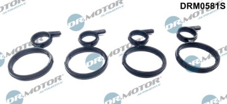 Ущільнення, запірна кришка кулачкового вала - DR.MOTOR DRM0581S