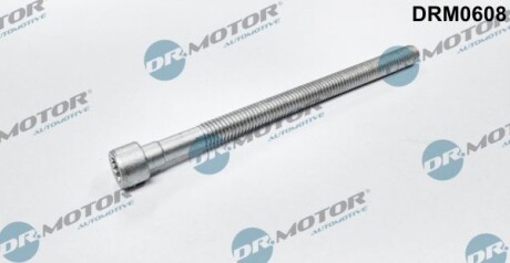Гвинт, тримач інжекторної форсунки - ((03G198051A, 03G103385A)) DR.MOTOR DRM0608