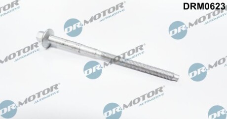 Болт кріплення форсунки Citroen Jumper 2.2HDI 06- - (1372386, 1610369580, 1673999) DR.MOTOR DRM0623