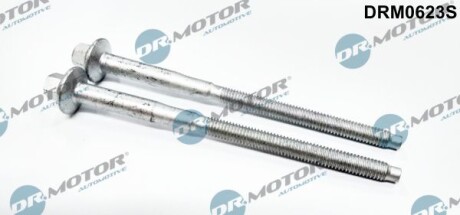 Болт кріплення форсунки Citroen Jumper 2.2HDI 06- - (1372386, 1610369580, 1673999) DR.MOTOR DRM0623S
