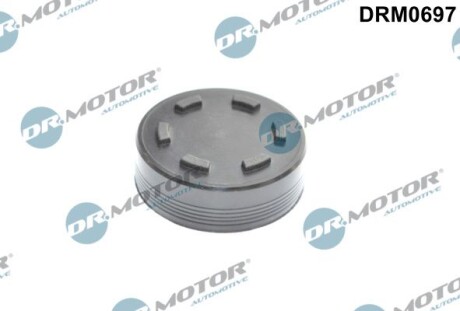 Запірна кришка, кулачковий вал - (078103113B, 078103113E, 95510411300) DR.MOTOR DRM0697