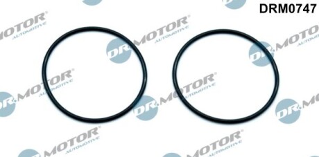Ущільнення, вакуумний насос - DR.MOTOR DRM0747
