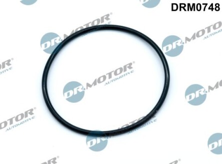 Ущільнення, вакуумний насос - DR.MOTOR DRM0748