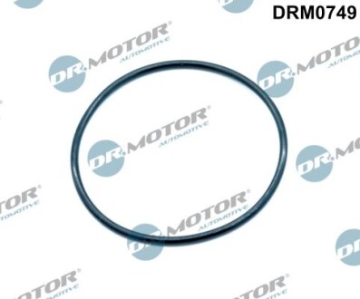 Ущільнення, клапан системи рециркуляції ВГ - DR.MOTOR DRM0749