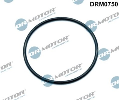 Ущільнення, корпус дросельної заслінки - DR.MOTOR DRM0750