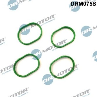 Комплект ущільнень, впускний колектор - DR.MOTOR DRM075S