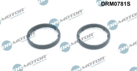Ущільнення, оливний радіатор - DR.MOTOR DRM0781S