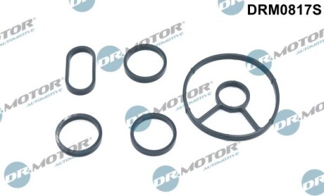 Прокладка радіатора масляного Citroen Jumpy/Fiat Scudo/Peugeot Expert 2.0 HDI 07-16 (к-кт) - DR.MOTOR DRM0817S