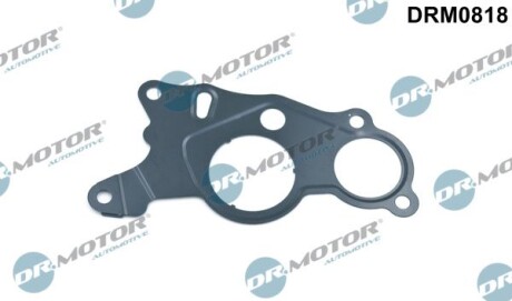 Ущільнення, вакуумний насос - DR.MOTOR DRM0818