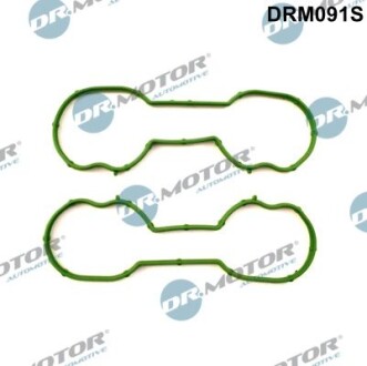 Комплект ущільнень, впускний колектор - (1072063, 98MM9441AA, D1347901) DR.MOTOR DRM091S