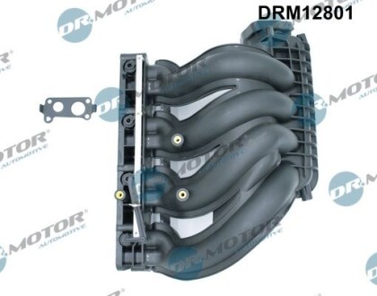 Модуль впускної труби - DR.MOTOR DRM12801