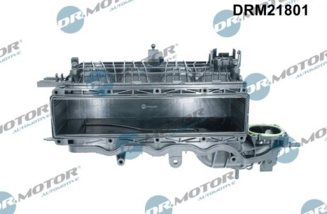 Модуль впускної труби - DR.MOTOR DRM21801