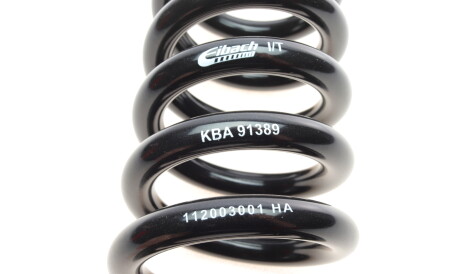 Фото 2 - Пружина підвіски EIBACH E10-20-030-01-22 (E10200300122)