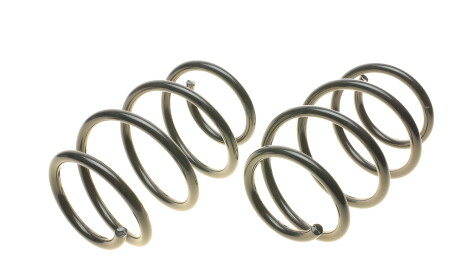 Фото 2 - Пружина підвіски EIBACH E10-20-031-04-22 (E10200310422)