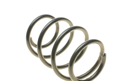 Фото 3 - Пружина підвіски EIBACH E10-20-031-04-22 (E10200310422)