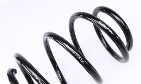 Фото 2 - Пружина підвіски EIBACH E10-20-031-05-22 (E10200310522)