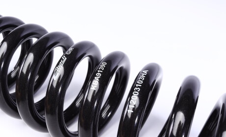 Фото 4 - Пружина підвіски EIBACH E10-20-031-05-22 (E10200310522)