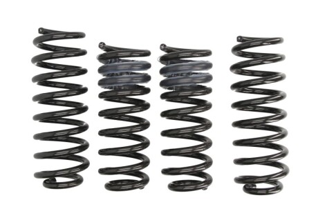 Фото 2 - Пружина подвески EIBACH E10-25-017-01-22