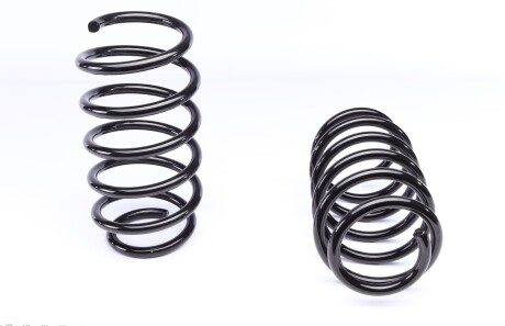 Фото 3 - Пружина подвески EIBACH E10-65-013-02-22