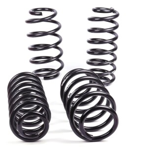 Фото 2 - Пружина підвіски EIBACH E10-79-004-02-22 (E10790040222)