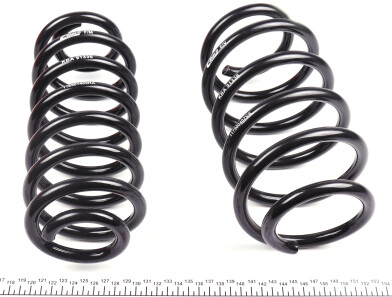 Фото 3 - Пружина підвіски EIBACH E10-79-004-02-22 (E10790040222)