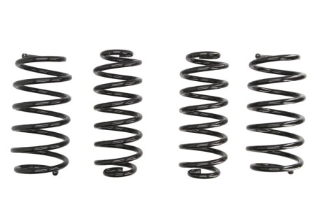 Фото 2 - Пружина підвіски EIBACH E10-85-020-01-22