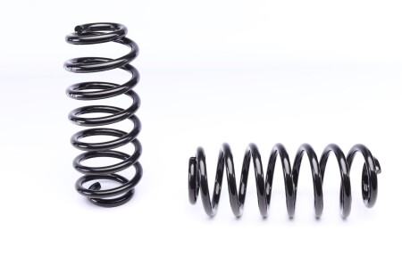 Фото 3 - Пружина подвески EIBACH E10-85-022-01-22 (E10850220122)