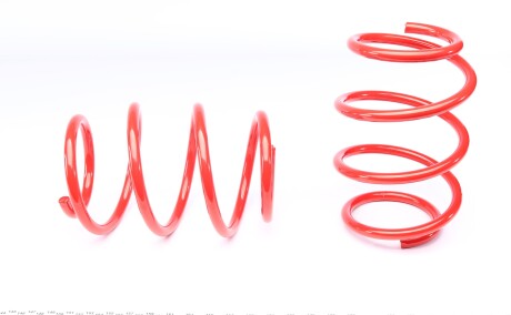 Фото 3 - Пружина підвіски EIBACH E20-20-031-01-22 (E20200310122)