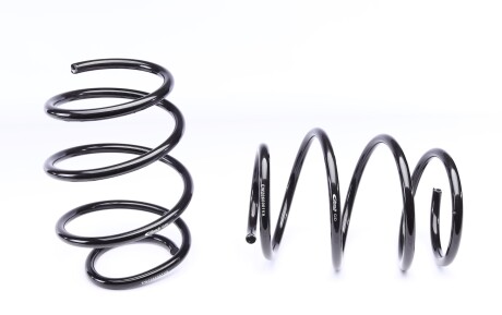 Фото 2 - Пружина підвіски EIBACH E2066-140 (E2066140)