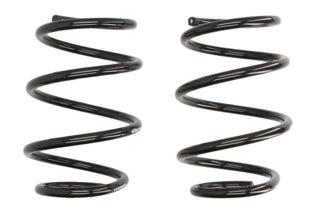 Фото 2 - Пружина підвіски EIBACH E2071-120 (E2071120)