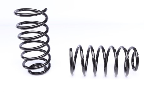 Фото 3 - Пружина підвіски EIBACH E8120-140 (E8120140)