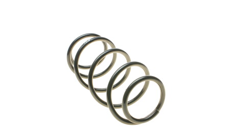 Фото 2 - Пружина підвіски EIBACH R10001