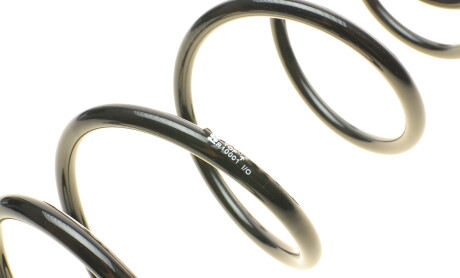 Фото 5 - Пружина підвіски EIBACH R10001