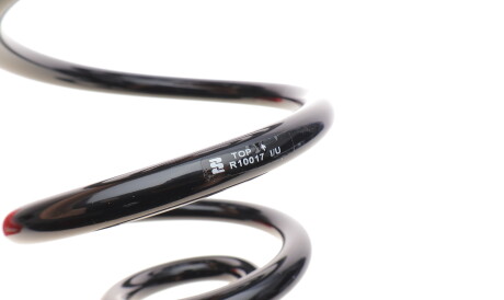 Фото 2 - Пружина підвіски EIBACH R10017