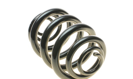 Фото 2 - Пружина підвіски EIBACH R10028