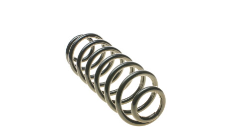 Фото 2 - Пружина підвіски EIBACH R10029