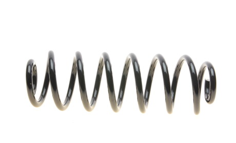 Фото 4 - Пружина підвіски EIBACH R10031