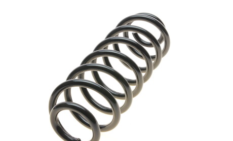 Фото 5 - Пружина підвіски EIBACH R10031