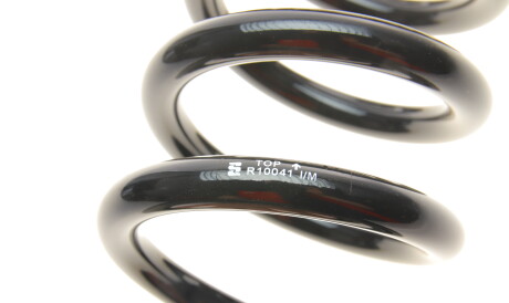 Фото 2 - Пружина подвески EIBACH R10041