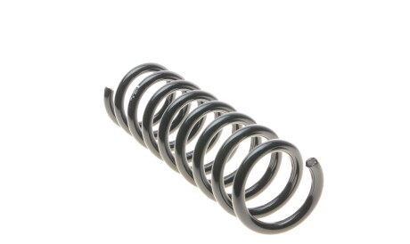 Фото 3 - Пружина подвески EIBACH R10041