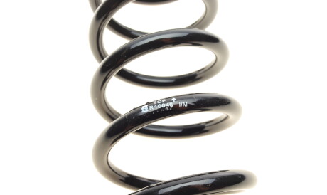 Фото 2 - Пружина підвіски EIBACH R10046