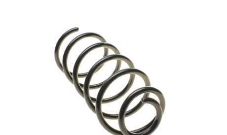 Фото 2 - Пружина підвіски EIBACH R10071