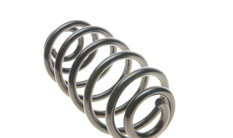 Фото 3 - Пружина подвески EIBACH R10089