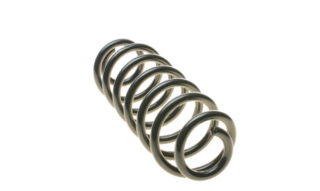 Фото 2 - Пружина подвески EIBACH R10125