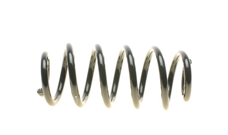 Фото 3 - Пружина підвіски EIBACH R10136