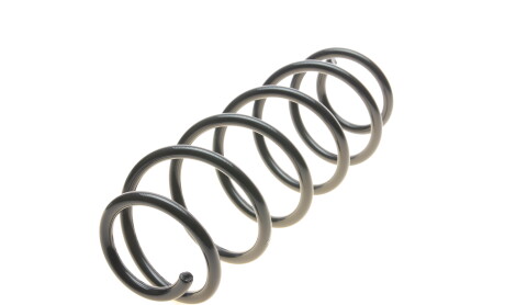 Фото 5 - Пружина підвіски EIBACH R10209