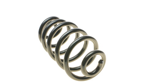 Фото 2 - Пружина підвіски EIBACH R10210